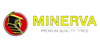 Minerva