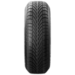 195/60 R15 88T g-Force Winter BF Goodrich