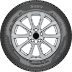225/75 R16C 121/120R Eskimo LT 12 PR Sava