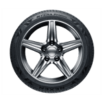 205/65 R16 95H N Fera Primus Nexen