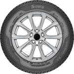 215/60 R17C 109/107T Eskimo LT 8PR Sava