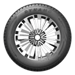 215/65 R17 99T Snow-H MWH03 DYNAMO