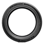 265/45 R21 108V Pilot Sport EV XL Acoustic Polo RG Michelin