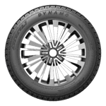 225/60 R16 98H Snow-H MWH01 DYNAMO