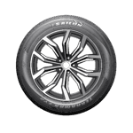 235/55 R19 101V Terramax CVR BSW M+S Sailun