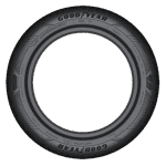GOODYEAR EF-PE2 205/55 R19 97 V XL