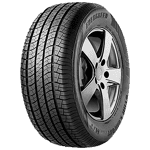 225/60 R17 99H ES83 Evergreen