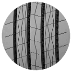 295/80 R22.5 154/149M Coach HA3 16PR LRH Continental