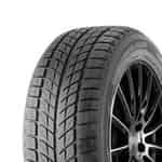 Double Star DW09 225/45 R18 95T