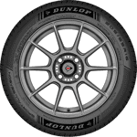 205/60 R16 96H Sport All Season  XL Dunlop