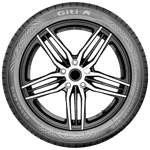 205/45 R17 88W GitiControl 288 RunFlat XL Giti