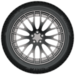 225/50 R17 98V GitiWinter W2 XL 3PMSF Giti