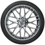 205/55 R16 91V Road Performance Kormoran