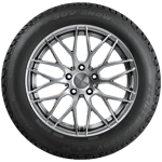 225/55 R18 102V SUV Snow XL Kormoran