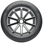 185 R14C 102/100R Ice Power BSW Lanvigator