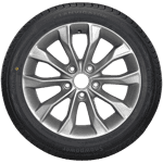 195/65 R15 91T Snowpower Lanvigator