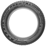 255/35 R19 96V Premitra Snow WP6 XL Maxxis