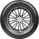 215/65 R16C 109/107T Greenweight A/S Milestone