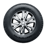 285/50 R20 116S Roadian AT 4x4 XL M+S Nexen