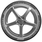 205/55 R17 95V ProTech NewGen XL FR Viking