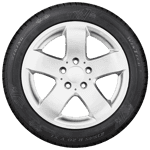 225/55 R16 99H WinTech XL M+S Viking