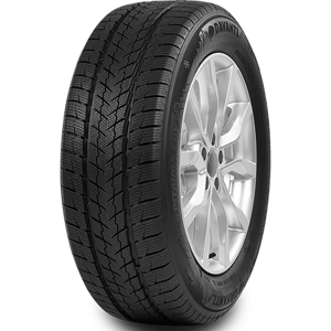 275/40 R20 106V Wintoura SUV XL Davanti