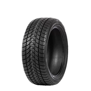225/45 R17 94V WD1 Delinte