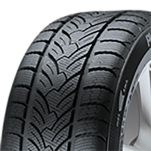 175/65 R13 80T RP 60 Winter M+S Platin