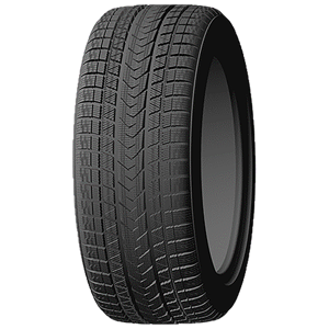255/50 R19 107V Winter Pro Max XL Tourador