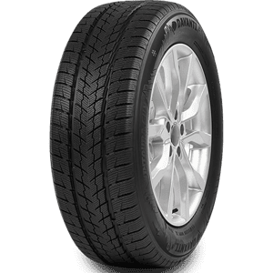 255/50 R20 109V Wintoura SUV XL Davanti