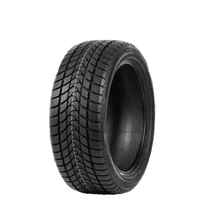 205/60 R16 96H WD1 Delinte