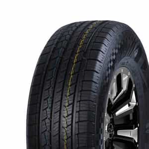 225/70 R16 103T DS01 Double Star