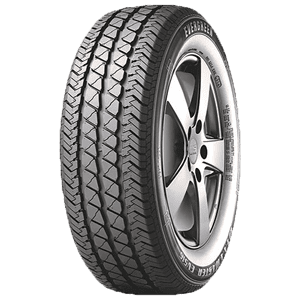 235/65 R16C 121/119R EV516 Evergreen