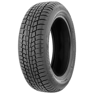 195/65 R15 95T Euro*Frost 6 XL M+S Gislaved