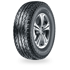 245/70 R16 111T NU006 XL Sunny