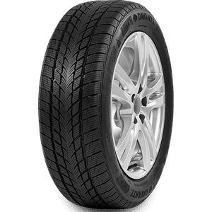 185/55 R16 87T Wintoura XL Davanti