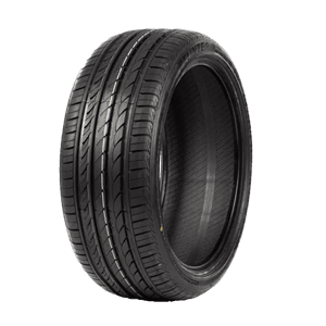 205/55 R16 91V DH2 Delinte