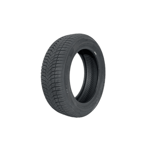 225/55 ZR17 101W MSA11 MASSIMO