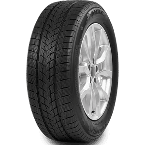 265/65 R17 116H Wintoura SUV XL Davanti