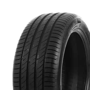 235/60 VR18 107V DS2 SUV XL Delinte