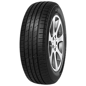 225/55 R19 99V EcoSport SUV Imperial
