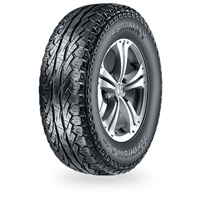 265/50 R20 111V NU006 XL Sunny