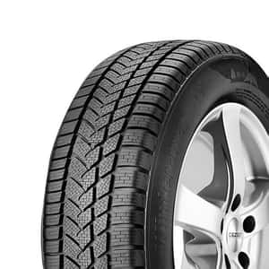 255/40 R19 100V NW211 Winter-MAX XL FSL Sunny