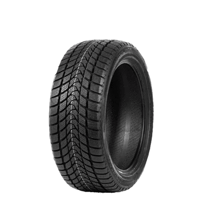 185/65 R14 86T WD1 Delinte