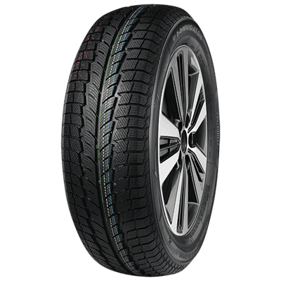 205/55 R16 94H Catchsnow RF BSW Lanvigator