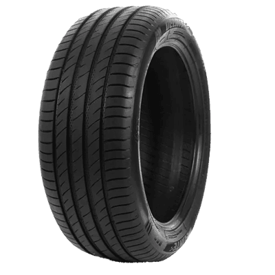 195/55 R15 85V DS2 Delinte
