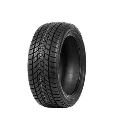 225/45 R17 94V WD1 Delinte