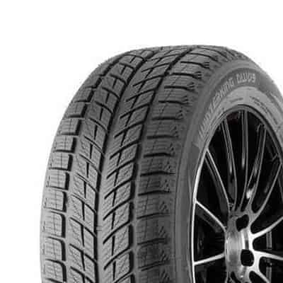 Double Star DW09 225/45 R18 95T