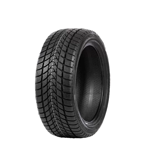 215/55 R17 94T WD1 Delinte