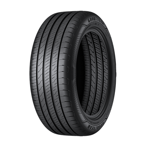 GOODYEAR EF-PE2 205/55 R19 97 V XL